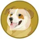 DOGE