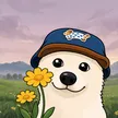 Billetera Hodly