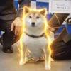 Inspector Mamesuke