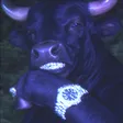 The Black Sleaze Wallet