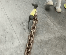 OCD