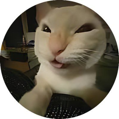 HEHE CAT