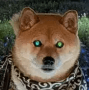 Dark Shiba Inu