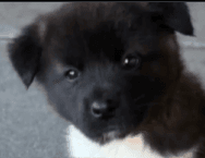 XERO