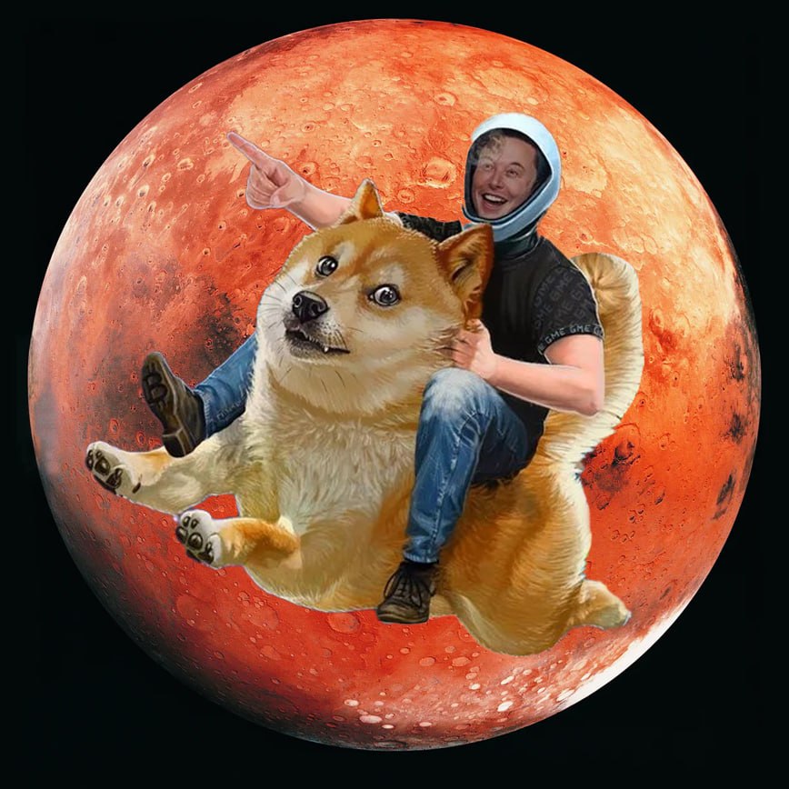 dogemars