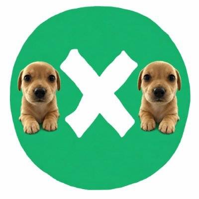 2XDOG 钱包