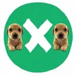 2XDOG Wallet