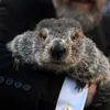 Phil The Groundhog