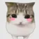 棱角猫