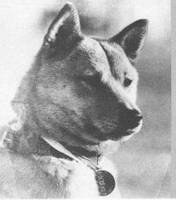 NAKA
