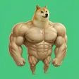 محفظة Swoge
