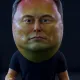 FRUITIFY