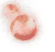 SpudCell 钱包