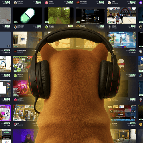 in a streamers world