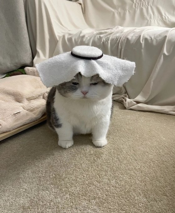 HABIBI