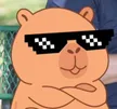 CAPYBARA 钱包