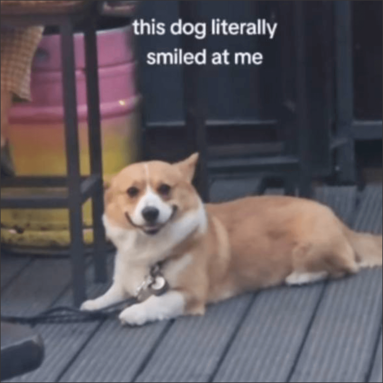 WIFSMILE