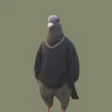Just a Chill Pigeon Wallet