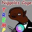 NIGGOLAS CAGE 钱包