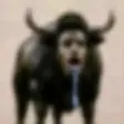 The Drooling Bull 钱包