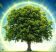 ATree_Official Wallet