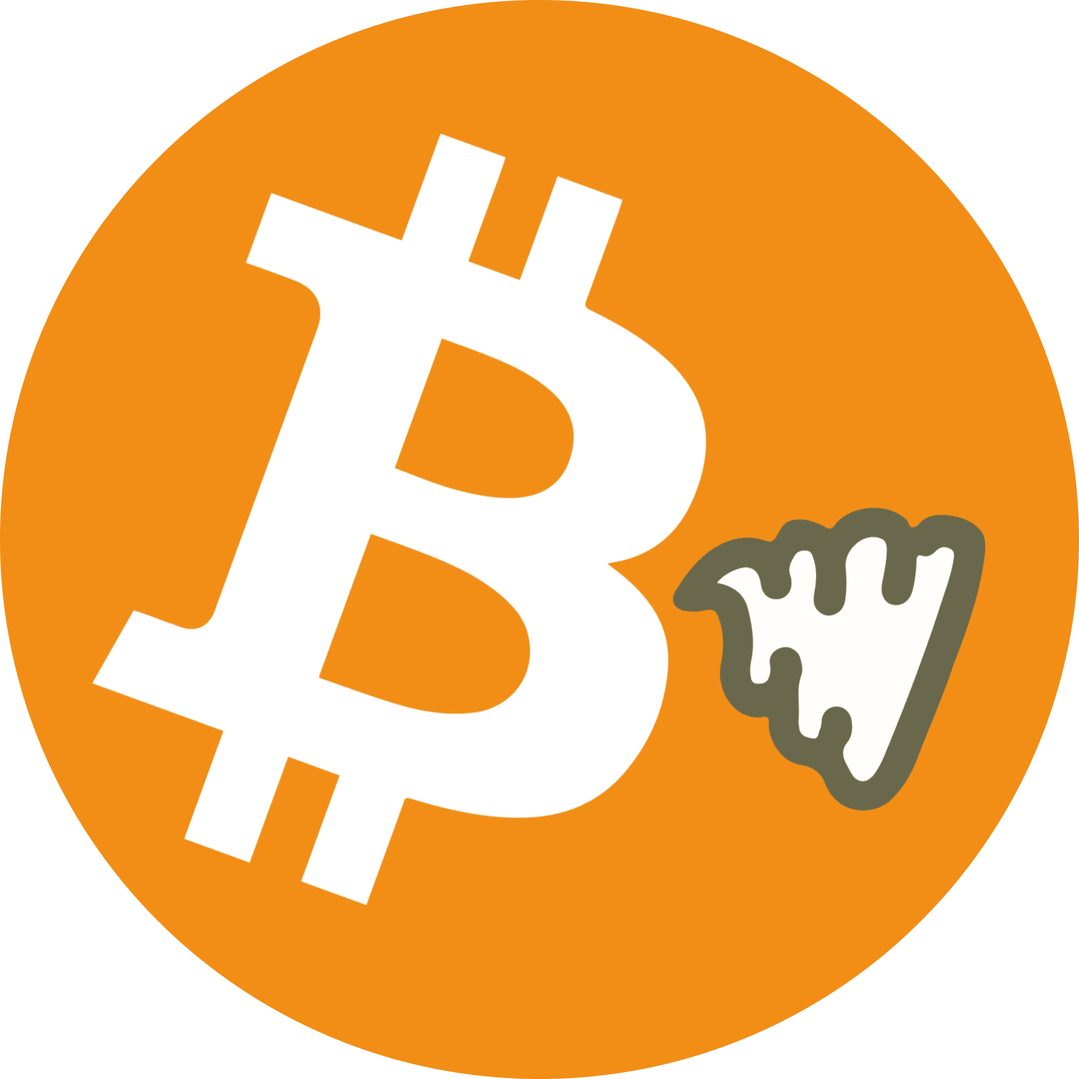 shitcoin