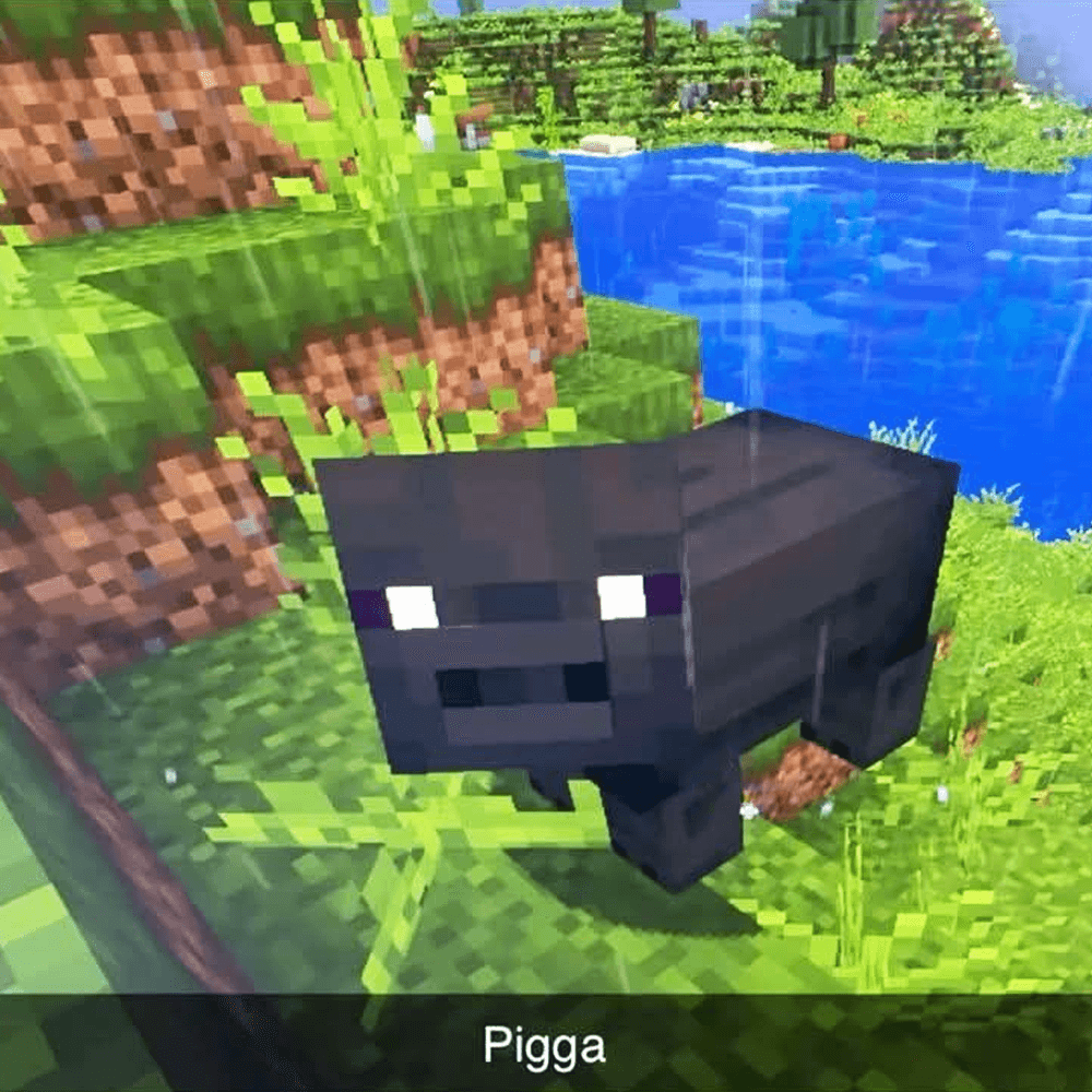 PIGGA