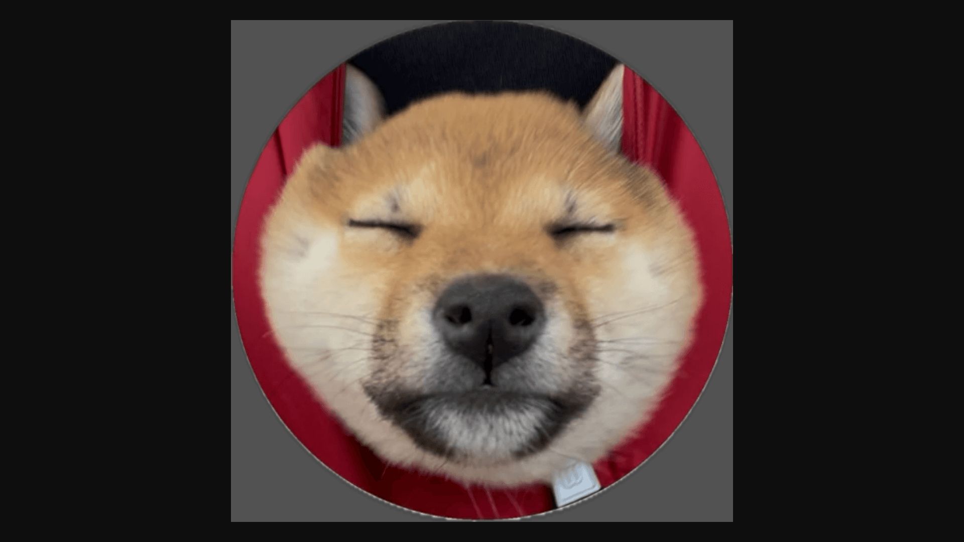 SAN