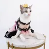 The Paralysed Cat