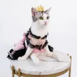 The Paralysed Cat 钱包