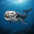 The Whale Troll Wallet