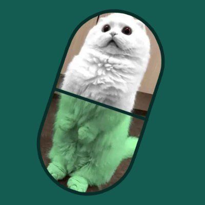 Pummi token on Solana