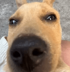 CHURRO