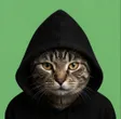 Pussy Under Hood Wallet