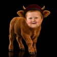 The Mini Bull 钱包