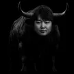 The IQ Bull Wallet