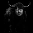Carteira The IQ Bull
