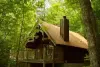 a cabin in the woods