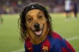 Ronaldinu Wallet