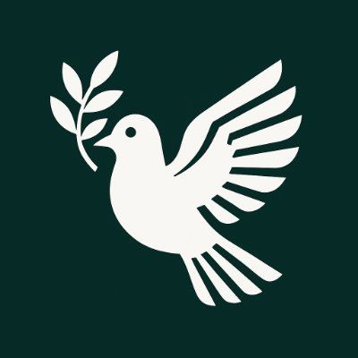 PLASDOVE token on Solana
