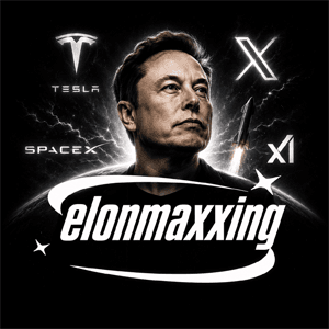 elon maxxing 钱包