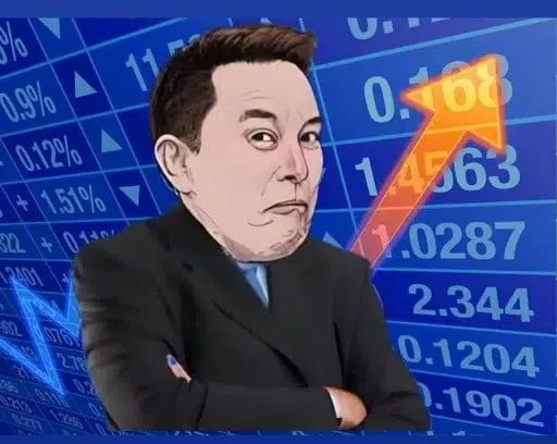 Elon Web Services