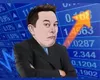 Elon Web Services