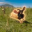 Monedero de Hotdogs