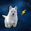 Groks Dog 钱包