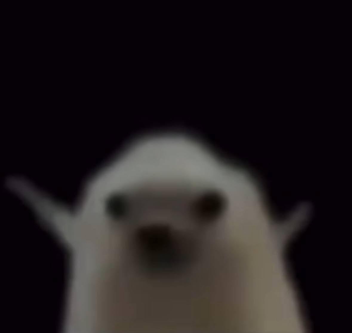 NED