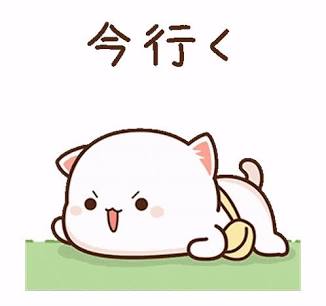 微信猫