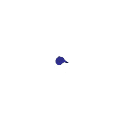 MICROCAP
