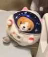 Undercover Corgi 钱包