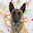The Painting Dog 钱包